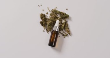 Esrar tomurcukları ve beyaz arka planda bir şişe cbd özütü videosu. Sağlık tedavileri ve tıbbi yardımlar için Cbd, cannabidiol özü ve esrar