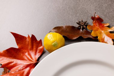 Sonbahar dekorasyonu ve gri arkaplanda fotokopi alanı olan tabağın genel görünümü. Şükran Günü, Sonbahar, Sonbahar, Amerikan geleneği ve kutlama konsepti.