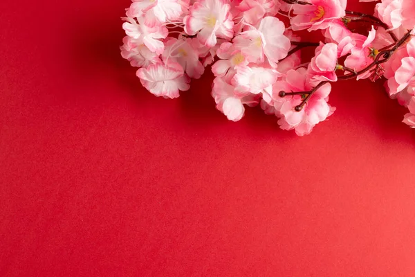 Složení Zblízka Třešňového Květu Červeném Pozadí Čínský Nový Rok Tradice — Stock fotografie