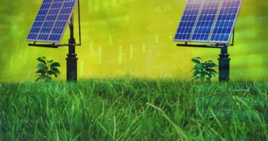 Çimen ve yeşil arka plandaki güneş panelleri üzerinden finansal veri işleme animasyonu. Küresel iş, sürdürülebilirlik ve güneş enerjisi konsepti dijital olarak oluşturulmuş video.