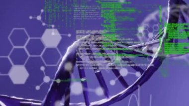 DNA zincirlerinin üzerinde dönen kimyasal formüllerin ve veri işlemlerinin animasyonu. Dijital olarak üretilen bilimsel kimyasal deneyler ve eğitim konsepti.