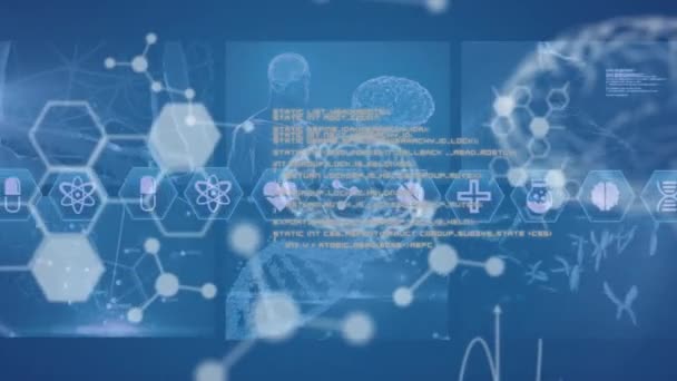 Animering Loopande Ikoner Med Programmeringsspråk Människokropp Hjärna Och Flytande Nukleotider — Stockvideo