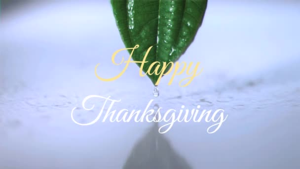 Animation Happy Thanksgiving Text Leaf Thanksgiving Day Celebration Concept Digitally — Stock Video