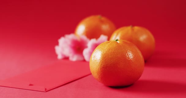 Wideo Różowymi Kwiatami Pomarańczami Czerwonym Tle Chiński Nowy Rok Tradycja — Wideo stockowe