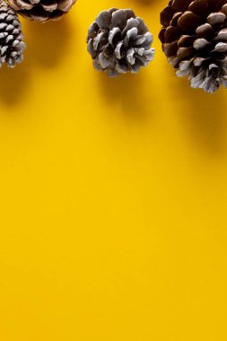 Çam kozalaklarının yukarıdan görünüşü ve sarı arkaplanda kopyalama alanı. Şükran Günü, Sonbahar, Sonbahar, Amerikan geleneği ve kutlama konsepti.