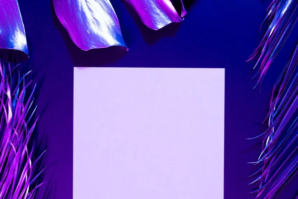 Зображення Яскравого Неону Освітлювало Фіолетове Листя Фіолетовому Фоні Папір Простором — стокове фото