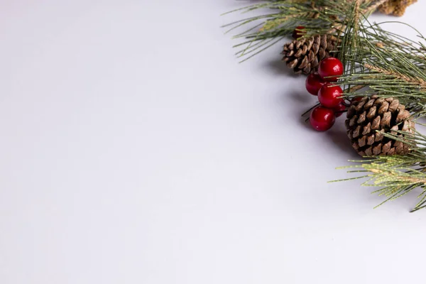 Εικόνα Από Χριστουγεννιάτικα Στολίδια Κουκουνάρια Και Αντίγραφο Χώρου Λευκό Φόντο — Φωτογραφία Αρχείου