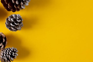 Çam kozalaklarının yukarıdan görünüşü ve sarı arkaplanda kopyalama alanı. Şükran Günü, Sonbahar, Sonbahar, Amerikan geleneği ve kutlama konsepti.