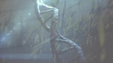 Parlak güneşe karşı otla kaplı 3D DNA sarmalının animasyonu ve arka planda açık bir gökyüzü. Dijital bileşik, çoklu pozlama, genetik, araştırma, doğa ve teknoloji kavramı.