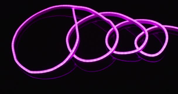 Animatie Van Roze Neon Lichten Vormen Spiraal Zwarte Achtergrond Achtergrond — Stockvideo