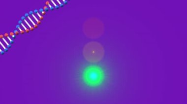 DNA ipliği üzerinde ışık lekelerinin canlandırılması. Küresel bilim ve dijital arayüz kavramı dijital olarak oluşturulmuş video.