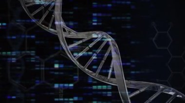 Aydınlatılmış çubuk grafikleri ve programlama dili üzerinde dönen DNA sarmalının animasyonu. Dijital olarak üretilmiş, hologram, genetik, araştırma, rapor, kodlama, tıbbi ve teknoloji kavramı.