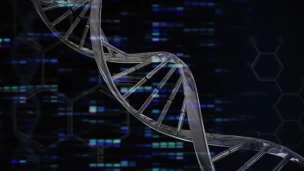 Animação Hélice Dna Girando Sobre Gráficos Barras Iluminados Linguagem Programação — Vídeo de Stock