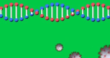 Düşen hücrelerin ve yeşil arka plandaki DNA iplikçiklerinin animasyonu. Genel covid 19 salgın konsepti dijital video oluşturuldu.