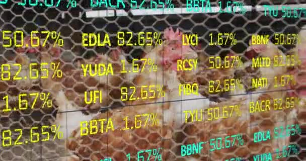 Animación Del Procesamiento Datos Financieros Sobre Pollos Granja Finanzas Globales — Vídeos de Stock