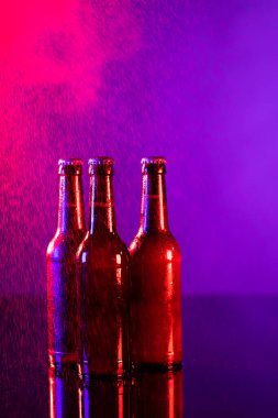 Kırmızı ve mor arkaplanda kopyalama alanı olan üç kahverengi bira şişesi resmi. Alkol, içecek ve bira günü kutlamaları..