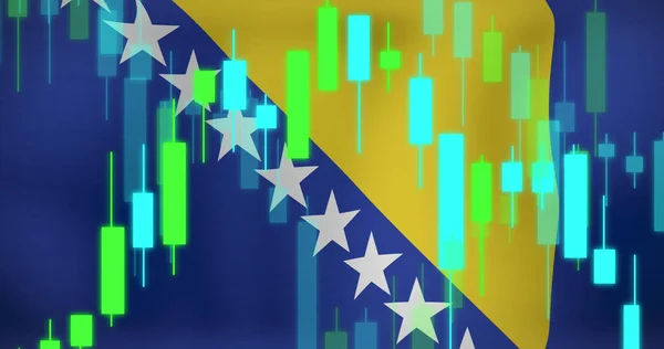 Image Data Processing Flag Bosnia Herzegovina Global Business Finances Digital — Stock Photo, Image