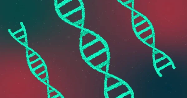 複数の輝く緑の3D二重らせんDna鎖が赤いグラデーションの背景に回転しているイメージ 医学遺伝学の概念デジタル生成画像 — ストック写真