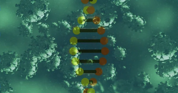 Image of 3d dna rotating with virus on digital interface. Digital composite, artificial intelligence, science and technology, healthcare and medicine.