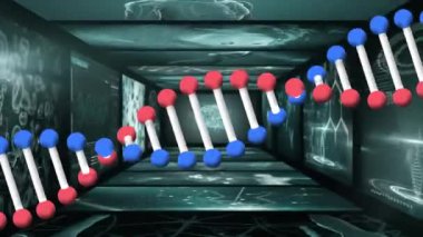 Veri işleme üzerindeki DNA iplikçiklerinin animasyonu. küresel iş ve dijital arayüz kavramı dijital olarak oluşturulmuş video.