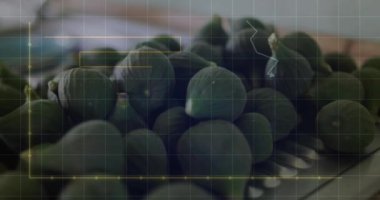 Sebzeler üzerinde finansal veri işleme animasyonu. Küresel finansman, ekoloji ve dijital arayüz kavramı dijital olarak oluşturulmuş video.