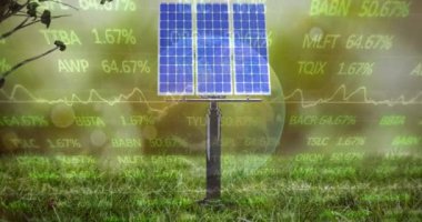 Sunucu odasında dünya ve veri işleme animasyonu. Dijital arayüz ve teknoloji konsepti dijital olarak oluşturulmuş video işleme.