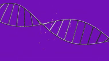 Animation of network of connections over dna strand. Global business and digital interface concept digitally generated video.