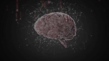 Beyin üzerindeki bağlantı ağının animasyonu. Küresel iş ve dijital arayüz kavramı dijital olarak oluşturulmuş video.