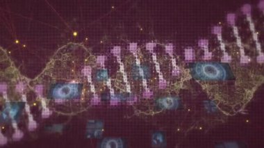 Veri işleme ve DNA iplikçiklerinin karanlık arka planda dünya üzerinde canlandırılması. Küresel bağlantılar ve veri işleme kavramı dijital video oluşturuldu.