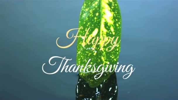 Animazione Testo Ringraziamento Felice Sopra Foglia Giorno Del Ringraziamento Celebrazione — Video Stock