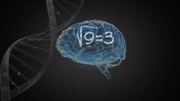 黒の背景に人間の脳と回転するDna構造上の数学方程式のアニメーション 医学研究科学技術概念 — ストック動画