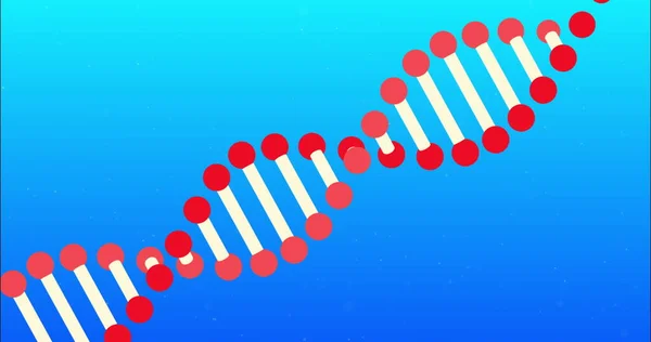 青色のグラデーションの背景に回転する赤と白の3D二重らせんDna鎖の画像 医学遺伝学の概念デジタル生成画像 — ストック写真