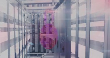 Sunucu odasında veri işleme animasyonu. küresel iş ve dijital arayüz kavramı dijital olarak oluşturulmuş video.