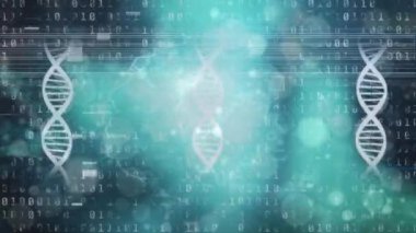 İkili kodların üzerinde yüzen nükleotitlerle aydınlatılmış DNA sarmallarının animasyon döngüsü. Dijital olarak üretilmiş, hologram, genetik, anatomi, araştırma, veritabanı ve teknoloji kavramı.