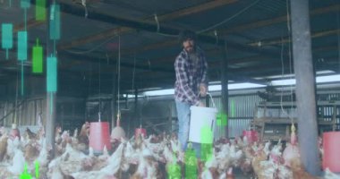 Beyaz adamın tavukları beslemesi üzerine finansal veri işleme animasyonu. Küresel finansman, ekoloji ve dijital arayüz kavramı dijital olarak oluşturulmuş video.