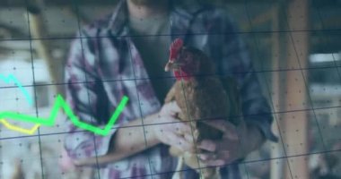 Tavuk tutan beyaz adamın mali veri işleme animasyonu. Küresel finansman, ekoloji ve dijital arayüz kavramı dijital olarak oluşturulmuş video.