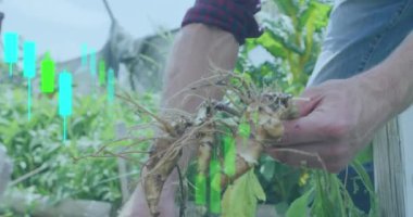 Bahçede çalışan beyaz bir adam hakkında finansal veri işleme animasyonu. Küresel finansman, ekoloji ve dijital arayüz kavramı dijital olarak oluşturulmuş video.