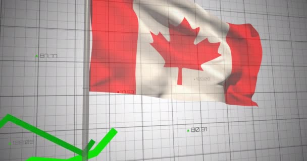 Animation Des Schwenkens Der Kanadischen Flagge Über Der Verarbeitung Von — Stockvideo