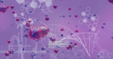 DNA görüntüsü Coronavirus 'un içinde veriler, dijital arayüzde altıgenler var. Dijital bileşik, salgın hastalık, covid-19, sağlık ve tıp, salgın, bilim, mikrobiyoloji.