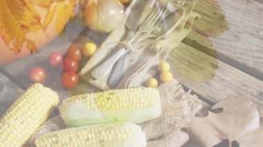 Ahşap arka planda sebze ve baharatların üzerindeki yaprakların animasyonu. Sonbahar geleneği ve dijital olarak üretilen video konsepti.