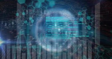 Animation of data processing over network of connections. Global business and digital interface concept digitally generated video.
