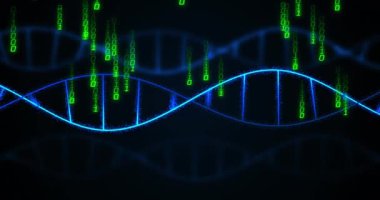 DNA iplikçiklerinin üzerinde veri işleme animasyonu. Küresel iş ve dijital arayüz kavramı dijital olarak oluşturulmuş video.