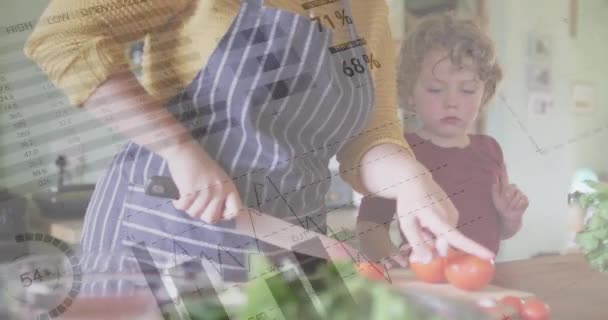 Animação Processamento Dados Financeiros Sobre Mulher Caucasiana Seu Filho Cozinhar — Vídeo de Stock