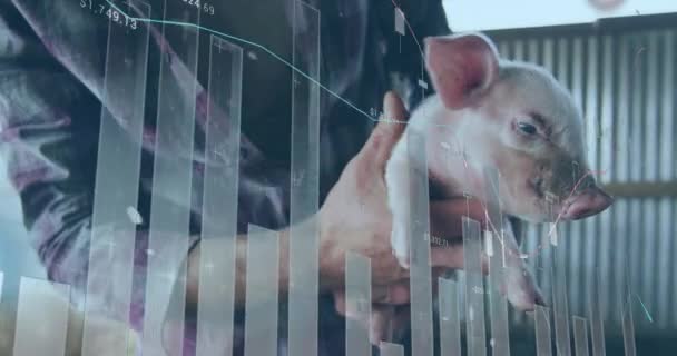 Animação Processamento Dados Financeiros Sobre Homem Caucasiano Segurando Porco Conceito — Vídeo de Stock