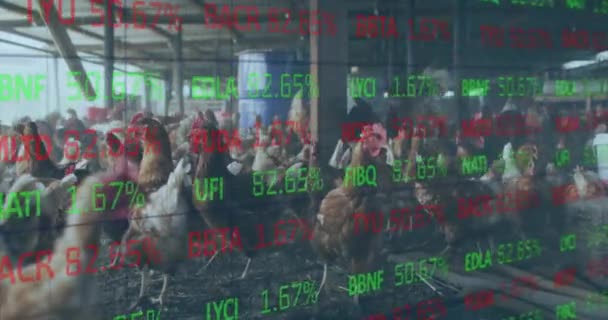 Animación Del Procesamiento Datos Financieros Sobre Pollo Granja Finanzas Globales — Vídeos de Stock