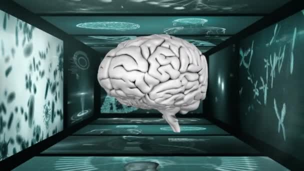 Veri Işleme Üzerinde Dönen Beyin Animasyonu Küresel Dijital Arayüz Kavramı — Stok video