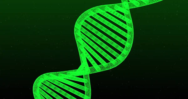 緑色の背景に回転する緑色の輝く3D二重らせんDna鎖の画像 医学遺伝学の概念デジタル生成画像 — ストック写真