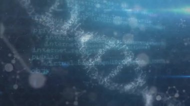 Programlama dili ve yüzen nükleotitler üzerinde DNA sarmalı olan daireler. Dijital olarak üretilmiş, hologram, geometrik şekil, kodlama, genetik, araştırma, anatomi ve teknoloji.