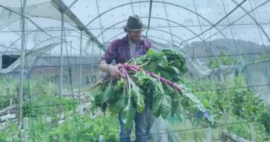 Bahçede çalışan beyaz bir adam hakkında finansal veri işleme animasyonu. Küresel finansman, ekoloji ve dijital arayüz kavramı dijital olarak oluşturulmuş video.