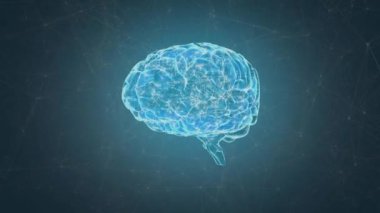 Beyin üzerindeki bağlantı ağının animasyonu. Küresel iş ve dijital arayüz kavramı dijital olarak oluşturulmuş video.